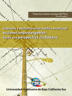 cover image of Gobierno y administración pública municipal